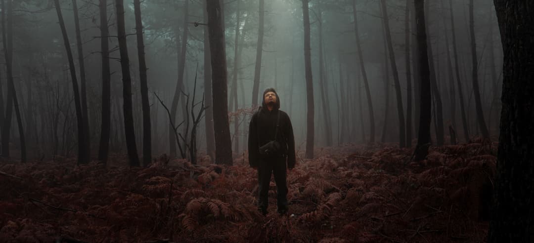 PHOTO - The Forest
